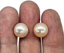 Load image into Gallery viewer, Freshwater Pearl Studs, June Birthstone, Bridal Jewellery, Sterling Silver - GemzAustralia 