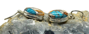 Oyster Turquoise Earrings, Oval Shaped, Sterling Silver, Orange Spiny Oyster Shell - GemzAustralia 