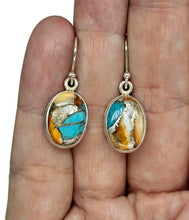 Load image into Gallery viewer, Oyster Turquoise Earrings, Oval Shaped, Sterling Silver, Orange Spiny Oyster Shell - GemzAustralia 