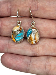 Oyster Turquoise Earrings, Oval Shaped, Sterling Silver, Orange Spiny Oyster Shell - GemzAustralia 