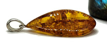 Load image into Gallery viewer, Cognac Amber Pendant, Sterling Silver, Millions of years old, Fossilized Tree Resin