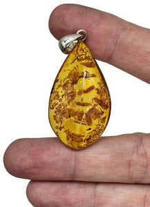 Cognac Amber Pendant, Sterling Silver, Millions of years old, Fossilized Tree Resin