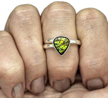 Load image into Gallery viewer, Green Gold Ammolite Ring, Size S, Sterling Silver, Pear Shaped, Fossilized Ammonite