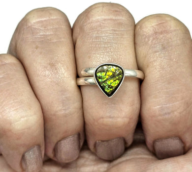 Green Gold Ammolite Ring, Size S, Sterling Silver, Pear Shaped, Fossilized Ammonite