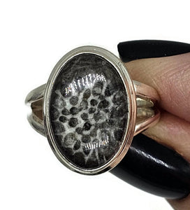 Stingray Coral Ring, Size M, Oval Shaped, Sterling Silver, Black and White Coral, Fossilized