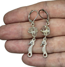 Load image into Gallery viewer, Seahorse Earrings with Rough Aquamarines, March Birthstone, Sterling Silver, Spirit Animal