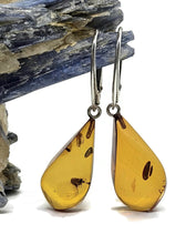 Load image into Gallery viewer, Baltic Amber Earrings, Pear Shaped, 50 million years old, Sterling Silver, Fossilized