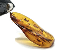 Load image into Gallery viewer, Baltic Amber Pendant, Sterling Silver, Natural Shape, 50 million years old, Fossilized