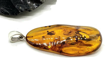 Load image into Gallery viewer, Baltic Amber Pendant, Sterling Silver, Natural Shape, 50 million years old, Fossilized