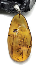 Load image into Gallery viewer, Baltic Amber Pendant, Sterling Silver, Natural Shape, 50 million years old, Fossilized