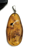 Load image into Gallery viewer, Baltic Amber Pendant, Sterling Silver, Natural Shape, 50 million years old, Fossilized