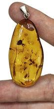 Load image into Gallery viewer, Baltic Amber Pendant, Sterling Silver, Natural Shape, 50 million years old, Fossilized