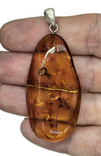 Load image into Gallery viewer, Baltic Amber Pendant, Sterling Silver, Natural Shape, 50 million years old, Fossilized