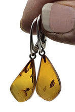 Load image into Gallery viewer, Baltic Amber Earrings, Pear Shaped, 50 million years old, Sterling Silver, Fossilized