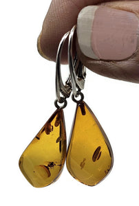 Baltic Amber Earrings, Pear Shaped, 50 million years old, Sterling Silver, Fossilized