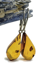 Load image into Gallery viewer, Baltic Amber Earrings, Pear Shaped, 50 million years old, Sterling Silver, Fossilized