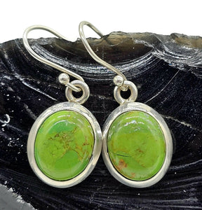 Green Mojave Turquoise Earrings, Sterling Silver, Oval Shaped, Protection Stone