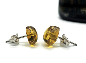 Amber button studs, Mexican Chiapas Amber, Sterling Silver, 30 million years old, Fossilized