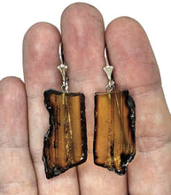 Load image into Gallery viewer, Raw Amber Earrings, Mexican Chiapas Amber, Sterling Silver, 30 million years old