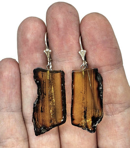 Raw Amber Earrings, Mexican Chiapas Amber, Sterling Silver, 30 million years old