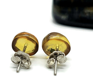 Amber button studs, Mexican Chiapas Amber, Sterling Silver, 30 million years old, Fossilized