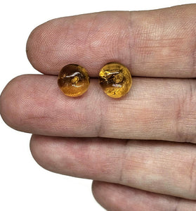 Amber button studs, Mexican Chiapas Amber, Sterling Silver, 30 million years old, Fossilized