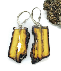 Raw Amber Earrings, Mexican Chiapas Amber, Sterling Silver, 30 million years old