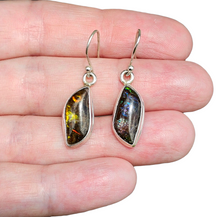Load image into Gallery viewer, Multi Coloured Ammolite Earrings, Sterling Silver, Fossilized Shells of Ammonites, Opal like Gem, Energy Gemstone, Growth Gemstone, Natural - GemzAustralia 