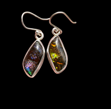 Load image into Gallery viewer, Multi Coloured Ammolite Earrings, Sterling Silver, Fossilized Shells of Ammonites, Opal like Gem, Energy Gemstone, Growth Gemstone, Natural - GemzAustralia 