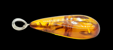 Load image into Gallery viewer, Cognac Amber Pendant, Sterling Silver, Millions of years old, Fossilized Tree Resin, Balance Gem, Wisdom Gem, Genuine - GemzAustralia 