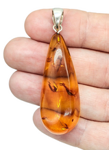 Load image into Gallery viewer, Cognac Amber Pendant, Sterling Silver, Millions of years old, Fossilized Tree Resin, Balance Gem, Wisdom Gem, Genuine - GemzAustralia 