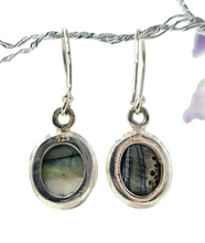 Load image into Gallery viewer, Paua Shell Earrings, Sterling Silver, Abalone Shell, Dangly Oval Drops, Prosperity, Peace, Good Luck &amp; Strength, New Zealand Paua Shell - GemzAustralia 