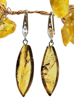 Load image into Gallery viewer, Amber Earrings, Mexican Chiapas Amber, Sterling Silver, Marquise Shape, millions of years old, Fossilized Tree Resin - GemzAustralia 