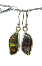 Load image into Gallery viewer, Multi Coloured Ammolite Earrings, Sterling Silver, Fossilized Shells of Ammonites, Opal like Gem, Energy Gemstone, Growth Gemstone, Natural - GemzAustralia 