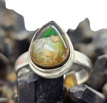 Load image into Gallery viewer, Green Ammolite Ring, Size O, Sterling Silver, Pear Shaped, Fossilized Ammonite, Opal like Gemstone, Wisdom Stone - GemzAustralia 