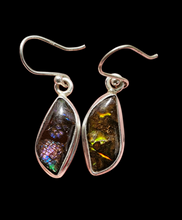 Load image into Gallery viewer, Multi Coloured Ammolite Earrings, Sterling Silver, Fossilized Shells of Ammonites, Opal like Gem, Energy Gemstone, Growth Gemstone, Natural - GemzAustralia 