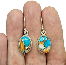 Load image into Gallery viewer, Oyster Turquoise Earrings, Oval Shaped, Sterling Silver, Orange Spiny Oyster Shell, Blue Turquoise, Copper Earrings, Hope &amp; Courage Stone - GemzAustralia 