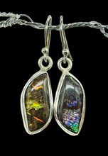 Load image into Gallery viewer, Multi Coloured Ammolite Earrings, Sterling Silver, Fossilized Shells of Ammonites, Opal like Gem, Energy Gemstone, Growth Gemstone, Natural - GemzAustralia 