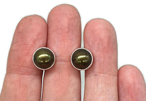 Biwa Pearl Studs, Black Pearl Earrings - GemzAustralia 