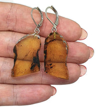 Load image into Gallery viewer, Raw Edge Amber Earrings, Mexican Chiapas Amber, Sterling Silver, 30 million years - GemzAustralia 