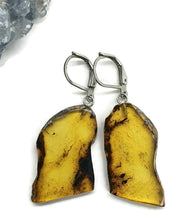 Load image into Gallery viewer, Raw Edge Amber Earrings, Mexican Chiapas Amber, Sterling Silver, 30 million years - GemzAustralia 